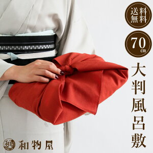 C~ 唻 ۖnF a |GXe 􂦂  GW v a َqܕ 䂤pPbg 70cm 唻 TCY   킢 g₷ 1000~ȏ