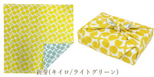 C~ ނ ɍl C~ ٓp  fB[X jq ȏC~ a ٓ 48cm  ނ a ٓݘa ٓC~ a { G `NX 