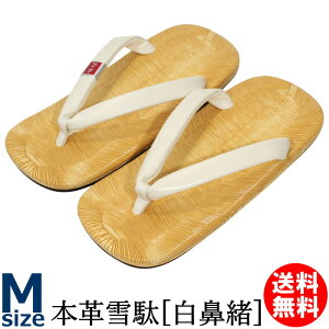  jp ^ 瑕p MTCY i Vv {v ꂩƕeł 瑕p @  {v   Y  a Ղ  Yт