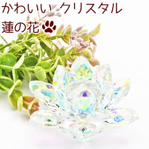 ybg @̉ NX^ IuWF KX 킢