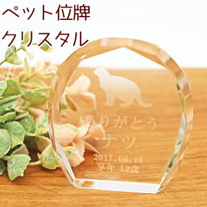 ybgʔv VGbgIׂ NX^ʔv A  L  nX^[ 킢 