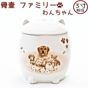 ybg كt@~[ 񂿂3茳{  ؂ȃybg̕p茳{ɂ