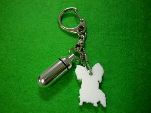 ybg⍜JvZL[z_[uVGbgviJvZ@jps^Cv