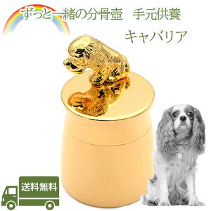 茳{LoAybg   AObY ⍜ybgX{XeX ~j