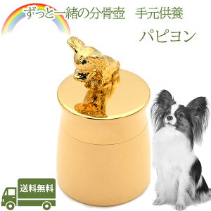 茳{psybg   AObY ⍜ybgX{XeX ~j