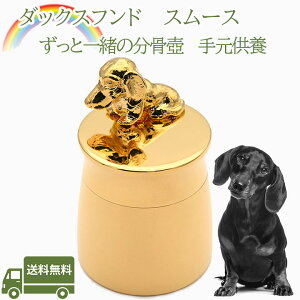 茳{_bNXthX[Xybg   AObY ⍜ybgX{XeX ~j
