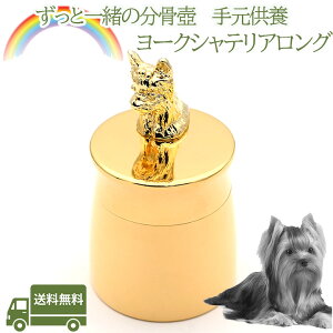 茳{[NVeA Oybg   AObY ⍜ybgX{XeX ~j