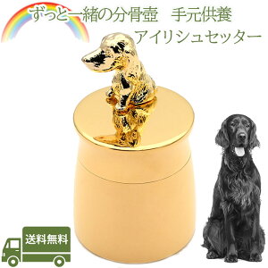 茳{ACbVZb^[ybg   AObY ⍜ybgX{