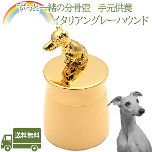 茳{C^AO[nEhybg   AObY ⍜ybgX{