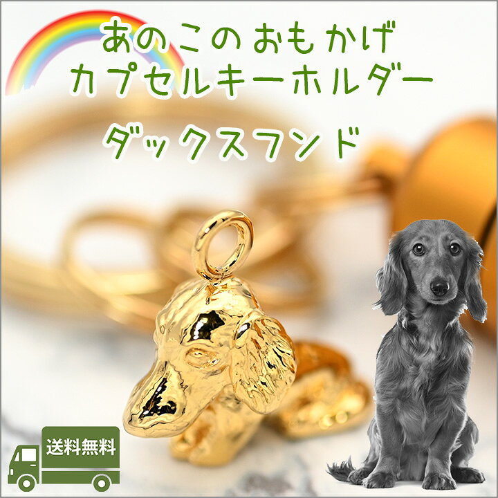 楽天市場】遺骨カプセルキーホルダーミニチュアダックスフンドペット 