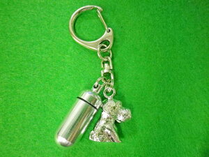 ⍜JvZ L[z_[JvZ ViEU[茳{ ViEU[ JvZ  {⍜y_g⍜ ANZT[