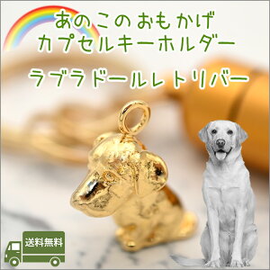 �⍜�J�v�Z���L�[�z���_�[���u���h�[�����g���o�[�y�b�g���� ������ ���� �J�v�Z���������A���O�b�Y �⍜�L�[�z���_�[�y�b�g���X ���u���h�[���E���g���o�[���{���y�l�R�|�X�ցi�|�X�g