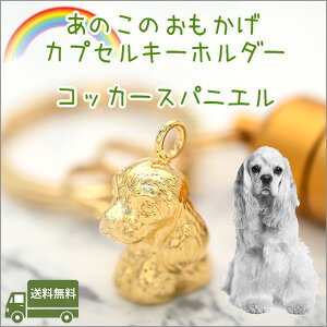 ⍜JvZL[z_[RbJ[XpjGybg   JvZAObY ⍜L[z_[ybgX{ylR|Xցi|XgjΉiz