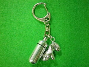 ⍜JvZ L[z_[JvZ xhgEeA茳{ xhg JvZ  {⍜y_g⍜ ANZT[