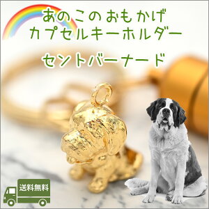 �⍜�J�v�Z���L�[�z���_�[�Z���g�o�[�i�[�h�y�b�g���� ������ ���� �J�v�Z���������A���O�b�Y �⍜�L�[�z���_�[�y�b�g���X���{���y�l�R�|�X�ցi�|�X�g�����j�Ή����i�z