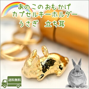 �⍜�J�v�Z���L�[�z���_�[������ �������y�b�g���� ������ ���� �J�v�Z���������A���O�b�Y �⍜�L�[�z���_�[ �y�b�g���X �E�T�M �e���{���y�l�R�|�X�ցi�|�X�g�����j�Ή����i�z