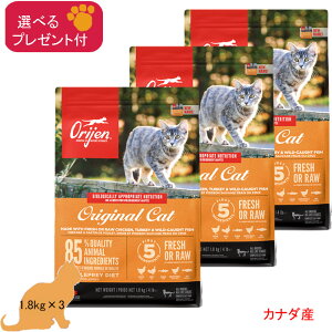 (5%OFF �N�[�|���L)�I���W�� ORIJEN �L���b�g�t�[�h (�S�N��) �I���W�i���L���b�g (�J�i�_�Y) 1.8kg×3 (�I�ׂ�v���[���g�t) �y���K�i�z���ޕs�g�p �O���C���t���[ �S�L��