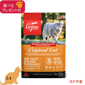 (5%OFF �N�[�|���L)�I���W�� ORIJEN �L���b�g�t�[�h (�S�N��) �I���W�i���L���b�g (�J�i�_�Y) 5.4kg (�I�ׂ�v���[���g�t) �y���K�i�z���ޕs�g�p �O���C���t���[ �S�L��