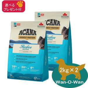 AJi pVtBJhbO@Vs@ 2Kg×2 (Iׂv[gt)@yKiz