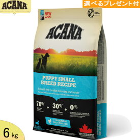 アカナ　パピー・スモールブリード・ レシピ　6kg　【正規品】(選べるプレゼント付)