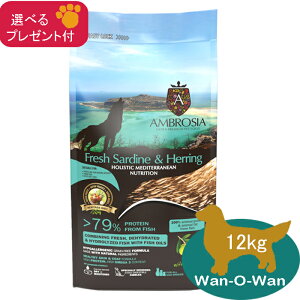 �A���u���V�A�@HMN �T�[�f�B�����փ����O�@�h�b�O�t�[�h 12kg (�I�ׂ�v���[���g�t)�y���K�i�z�@AMBROSIA �����s�g�p �O���C���t���[ �I���K3 �I���K6 �p�s�[ ���� �������@ �畆�E��с@�I���[