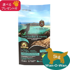 �A���u���V�A�@HMN �T�[�f�B�����փ����O�@�h�b�O�t�[�h 5kg (�I�ׂ�v���[���g�t)�y���K�i�z�@AMBROSIA �����s�g�p �O���C���t���[ �I���K3 �I���K6 �p�s�[ ���� �������@ �畆�E��с@�I���[