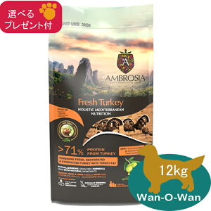 AuVA@HMN ^[L[@12kg (Iׂv[gt)