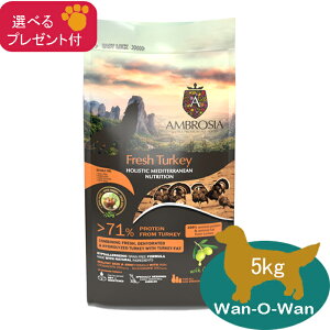 AuVA@HMN ^[L[@5kg (Iׂv[gt)