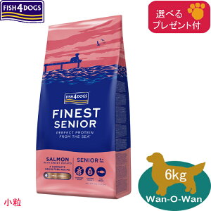 �t�B�b�V��4�h�b�O (�t�@�C�l�X�g) �V�j�A (����) 6kg (�I�ׂ�v���[���g�t)�u���K�i�vFISH4DOGS�h�b�O�t�[�h�����h�{�H ��GI�Y������ �I���K3 �I���K6 �V�� ��� ���ޕs�g�p