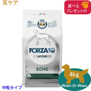 tHc@10 (FORZA10) GR[ANeBu@(PA) 4kg () uKiv(Iׂv[gt)