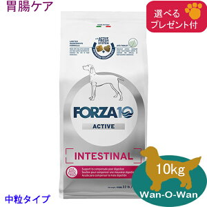 フォルツァ10 (FORZA10) インテスティナルアクティブ (胃腸ケア) 10kg (中粒) 「正規品」(選べるプレゼント付)
