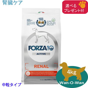 フォルツァ10 (FORZA10) リナールアクティブ (腎臓ケア) 4kg (中粒) 「正規品」(選べるプレゼント付)