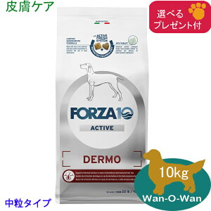 tHc@10 (FORZA10) fANeBu@(畆PA) () 10kg (Iׂv[gt)uKiv