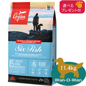 (5%OFF �N�[�|���L)�I���W�� ORIJEN �h�b�O�t�[�h 6�t�B�b�V�� 11.4kg(�I�ׂ�v���[���g�t)�y���K�i�z �J�i�_�Y ORIJEN �S���� �����h�{�H �S����p �����p �V�� �V�j�A ��� ORIGINAL �O���C���t���[