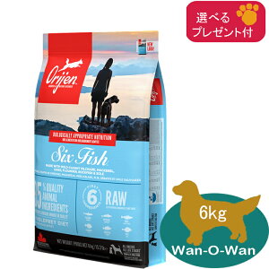 (5%OFF �N�[�|���L)�I���W�� ORIJEN �h�b�O�t�[�h 6�t�B�b�V�� 6kg(�I�ׂ�v���[���g�t)�y���K�i�z �J�i�_�Y ORIJEN �S���� �����h�{�H �S����p �����p �V�� �V�j�A ��� ORIGINAL �O���C���t���[ 