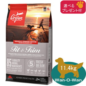 (5%OFF �N�[�|���L)�I���W�� ORIJEN �h�b�O�t�[�h �t�B�b�g���g���� 11.4kg (�I�ׂ�v���[���g�t)�y���K�i�z �J�i�_�Y ORIJEN �S���� �����h�{�H �S����p �����p �V�� �V�j�A ��� ORIGINAL �O���C��