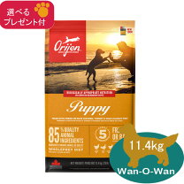 楽天市場】オリジン ドッグフード 11.3㎏の通販