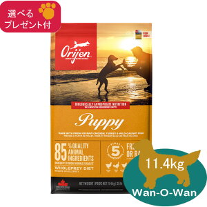 (5%OFF �N�[�|���L)�I���W�� ORIJEN �p�s�[ �h�b�O�t�[�h 11.4kg �y���K�i�z(�I�ׂ�v���[���g�t) �J�i�_�Y ORIJEN Orijen �����h�{�H �e�� �q�� PUPPY �O���C���t���[ �����s�g�p