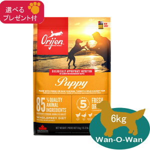 (5%OFF �N�[�|���L)�I���W�� ORIJEN �p�s�[ �h�b�O�t�[�h 6kg �y���K�i�z(�I�ׂ�v���[���g�t)�@�J�i�_�Y ORIJEN Orijen �����h�{�H �e�� �q�� PUPPY �O���C���t���[ �����s�g�p