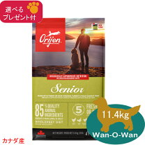 楽天市場】オリジンシニア 正規品の通販