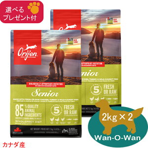 (5%OFF �N�[�|���L)�I���W�� ORIJEN �h�b�O�t�[�h �V�j�A 2kg×2 (�I�ׂ�v���[���g�t) �y���K�i�z �J�i�_�Y �������� orijen SENIOR �V�� �V�j�A ����p �O���C���t���[ �����s�g�p