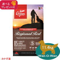 楽天市場】オリジン ドッグフード レジオナルレッド－340gの通販