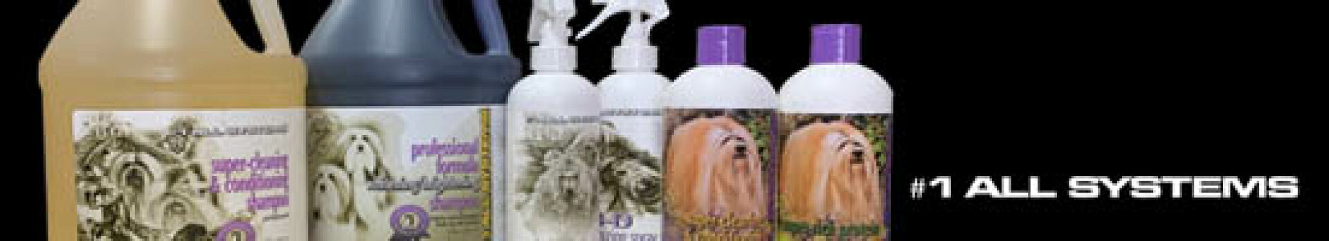 ナンバーワン・オールシステムズ