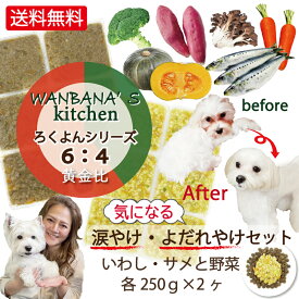 【送料無料】お試し価格！あす楽 ろくよん いわし・さめ各250g2種セット 犬猫用手作りごはん！ アレルギー・涙やけ・よだれ焼け・肥満でお悩み解決！（イワシとサメの食べっぷり！すごい）簡単包丁いらず！レンチンOK 無料の健康相談つき 老舗ワンバナの無添加ごちそう