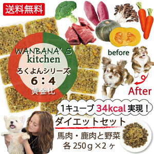 i y Lp育͂ nƎ6F4 lC 낭 V[Y  1xgƁc炸IȒP`OK J[SՂ荂^pN/H