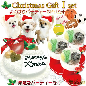 yzp NX}XP[L ^ԂȃT^u[c3 X|[c{[ 悭΂p[eBMtg I Zbg oi  p[eB[ T^  Y Fƃp