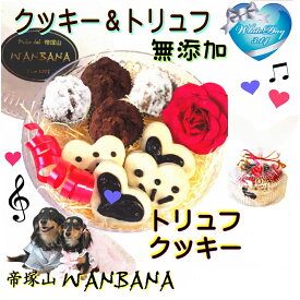 我が家のプリンセスにスポットライト!姫に愛を伝えたい 犬用ホワイトデー クッキー＆トリュフ クリスタルBOX 国産無添加 手作り食材で彩り豊か SNS映えねらう わんちゃん大興奮 プレゼント ギフト お返しに お花見 お出かけにもパピーからシニアまで ワンバナ