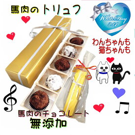我が家のプリンセスにスポットライト!姫に愛を伝えたい 犬用ホワイトデー馬肉トリュフ5個入り ゴールドBOX入り 国産無添加 手作り食材で彩り豊かSNS 映えねらう わんちゃん大興奮 プレゼント ギフト お返しに お花見お出かけにもパピーからシニアまでワンバナ
