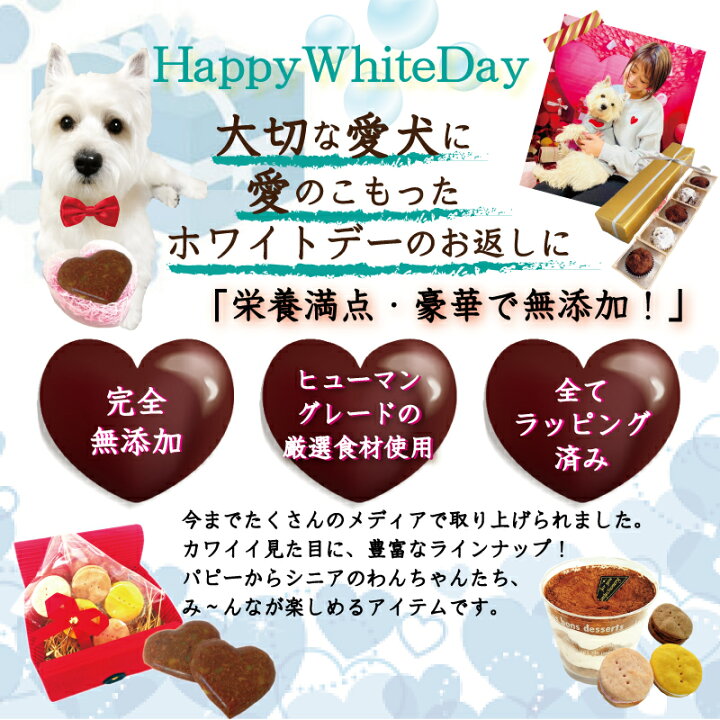 楽天市場】我が家のプリンセスにスポットライト!姫に愛を伝えたい 犬用 