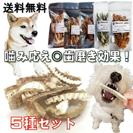 楽天市場 犬 サメ軟骨 効果の通販